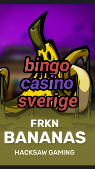 bingo casino sverige-3xn3u5udepyz9m9w5iat.com
